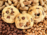 Peanut Butter Chip -- Current Seasonal Flavor